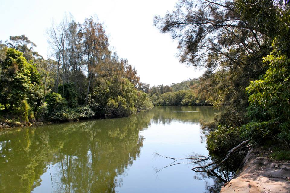 1233356_544850075570091_1685639075_n