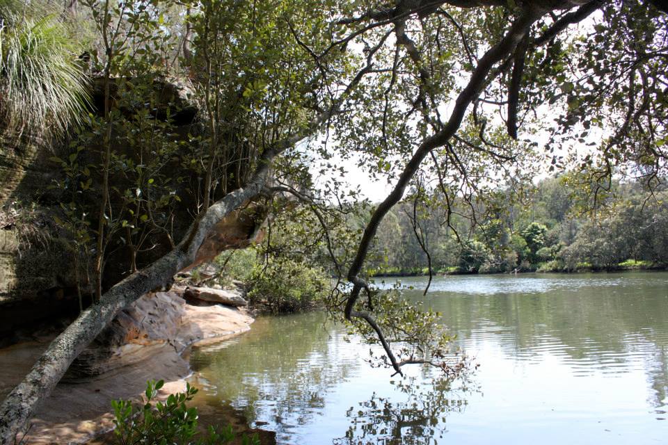 557476_544849982236767_866677014_n